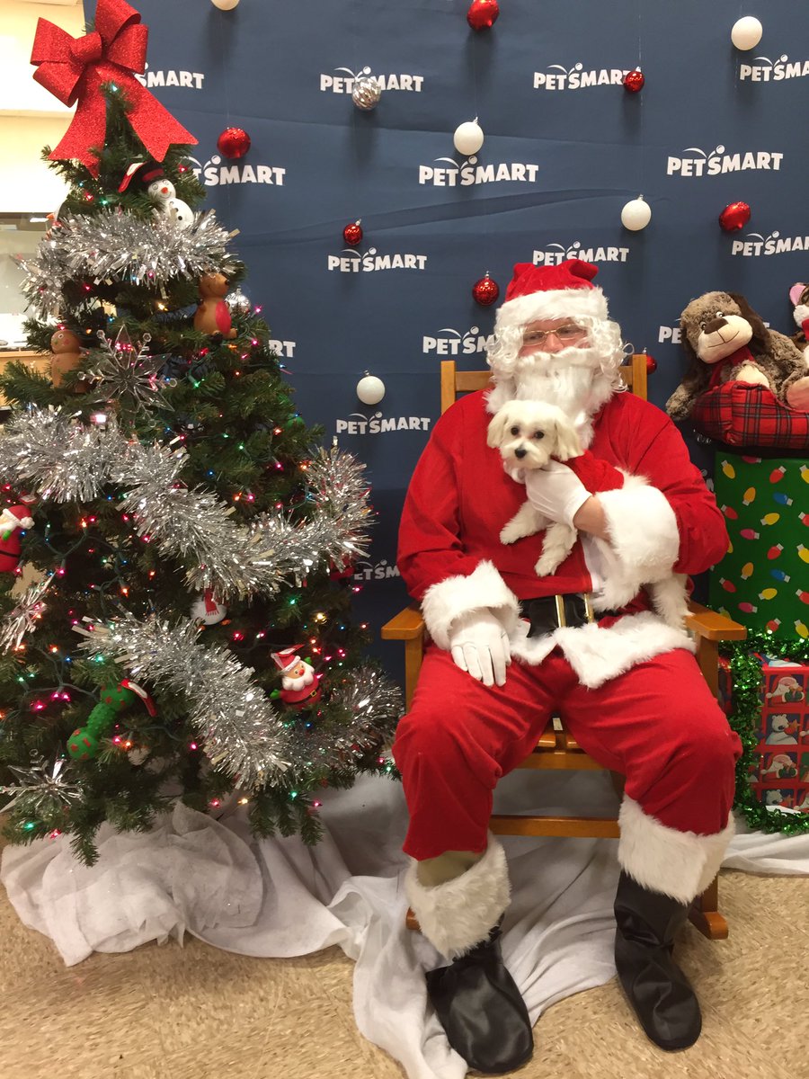 PetSmart1878 tweet media