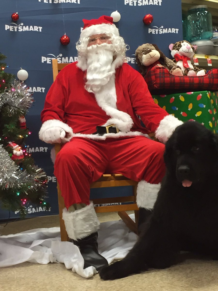 PetSmart1878 tweet media