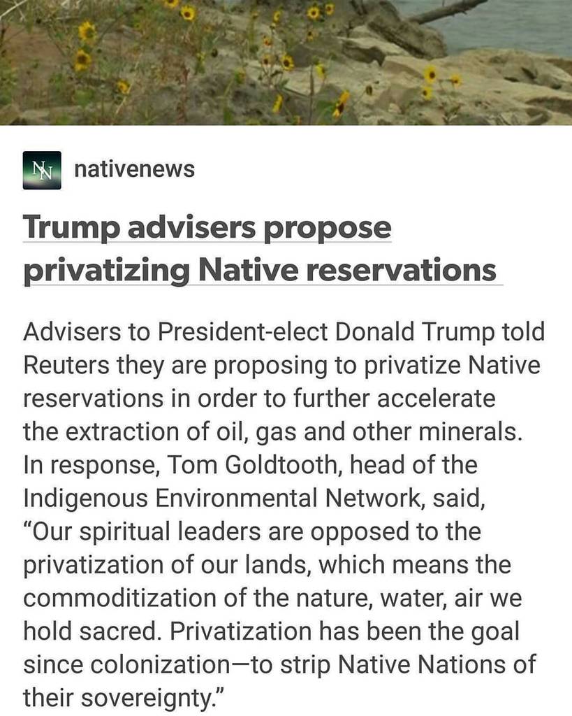 magicmissbri's tweet image. Stand strong, Protectors.
#nodapl #nativeresistance #waterislife ift.tt/2hg2w2Y