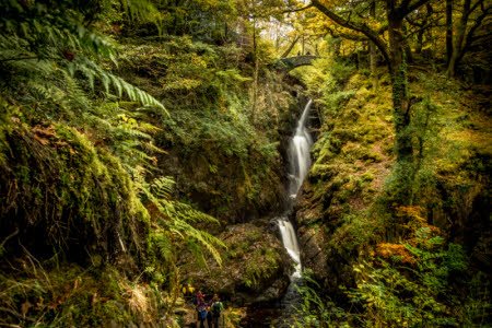 Be it coastline, countryside, parkland or woodland… Where have your weekend adventures taken you today?