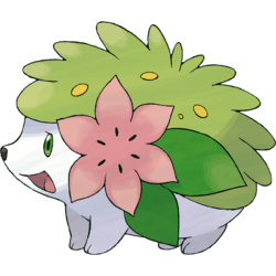 DaniellePokemon's tweet photo. Danielle Panabaker as Shaymin 🌸 #DaniellePanabaker #TheFlash #Pokemon https://t.co/Y9WsDwNAjw