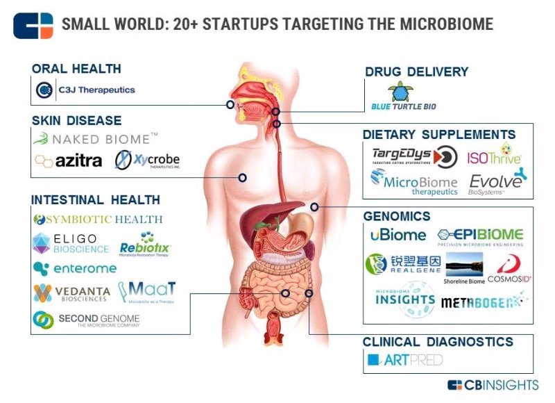 RyanBethencourt's tweet image. Great to see an extensive overview of startups targeting the health of the #microbiome @uBiome @EpiBiome @BlueTurtleBio &amp;amp; more @CBinsights