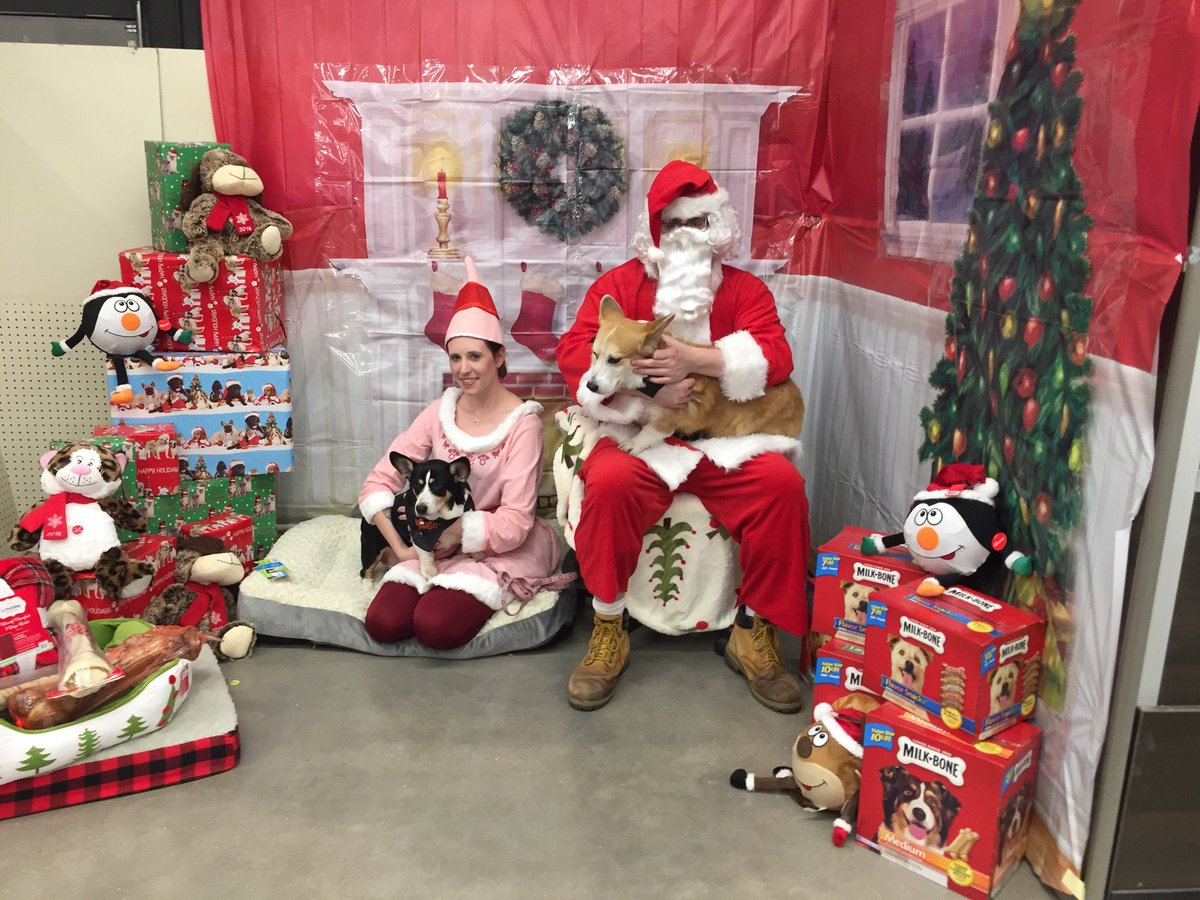 Petsmart Lakeline tweet media