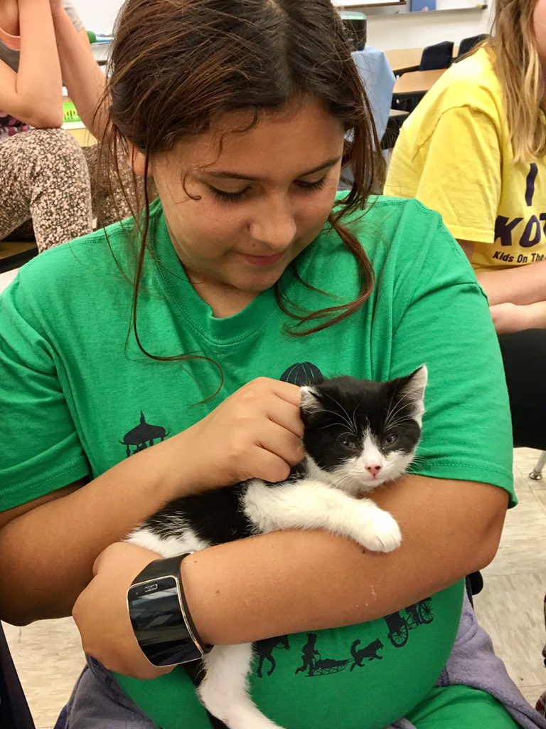 teachaboutpets's tweet photo. It's Caturday!  What's better than 5 kittens visiting?  Learned importance of looking 4 mom cat before "rescuing". https://t.co/Kq6US6Mjdx