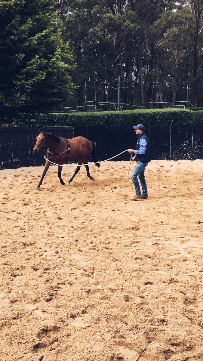 StonemanEquine's tweet photo. 👏🏼✔️ https://t.co/sa5yzIiyDW