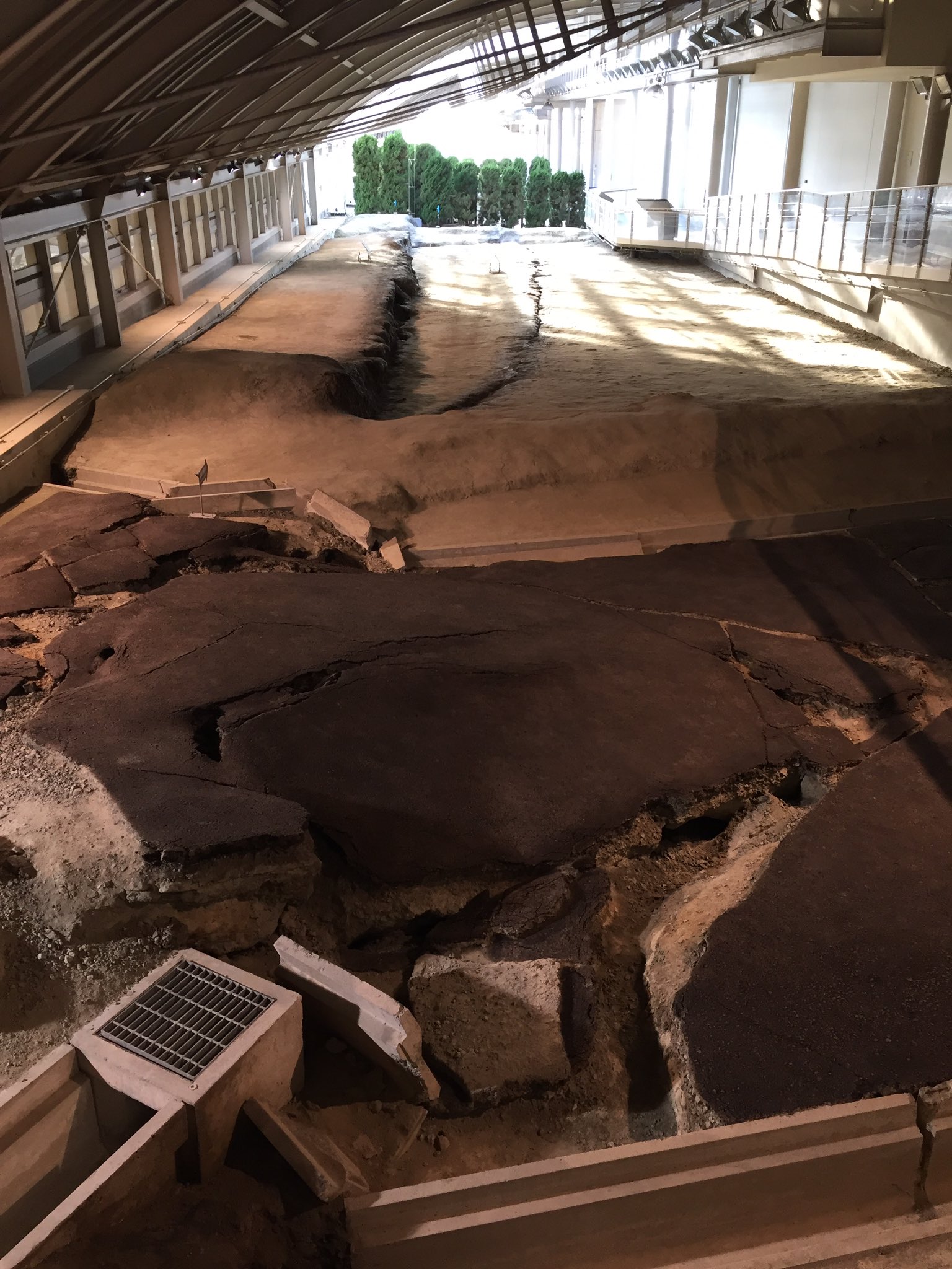 Kotarou 淡路島福良港の次は 阪神 淡路大震災の震源地 野島断層が展示されている北淡震源記念館 へ 断層のメカニズムの解説と展示そのものがリアルだった為地震の脅威がストレートに理解できた 淡路島 野島断層 T Co Ltien379dh Twitter