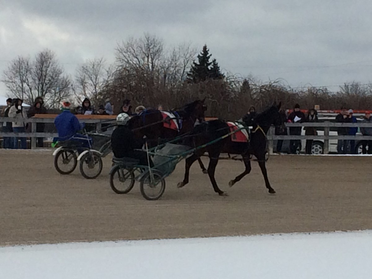 Huge turnout for the Open House <a href="/TheStableCanada/">TheStable.ca</a> today. Awesome job done by all. cc: <a href="/horseracingamac/">anthony macdonald</a>