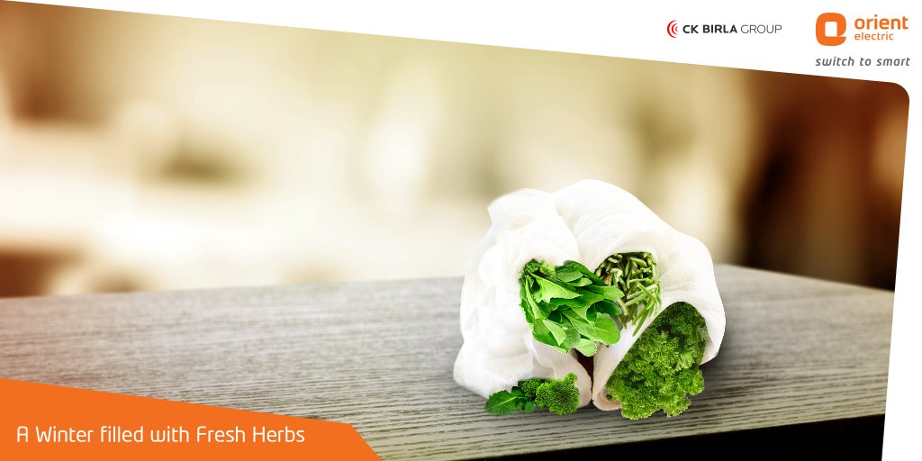 orient_electric's tweet photo. Store greens and herbs wrapped in a wet paper towel to retain their moisture. #SmartLifeHacks #green #herbs #SwitchToSmart https://t.co/TWAtAFvpow