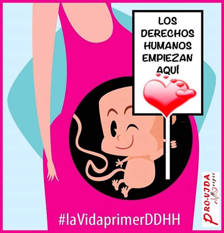LucyaRuiz08's tweet image. Desde aquí empezan los Derechos Humanos #NoalAborto # #VidaPrimero