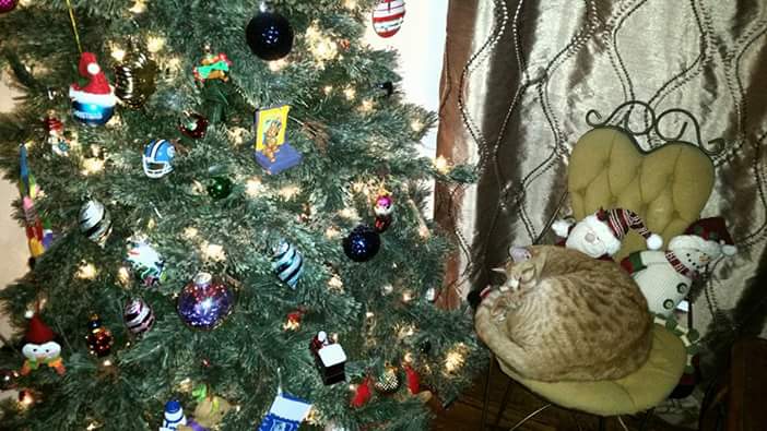 DukeGirlFan80's tweet photo. Dreaming about trying to destroying it later. https://t.co/K98eVB0qmB