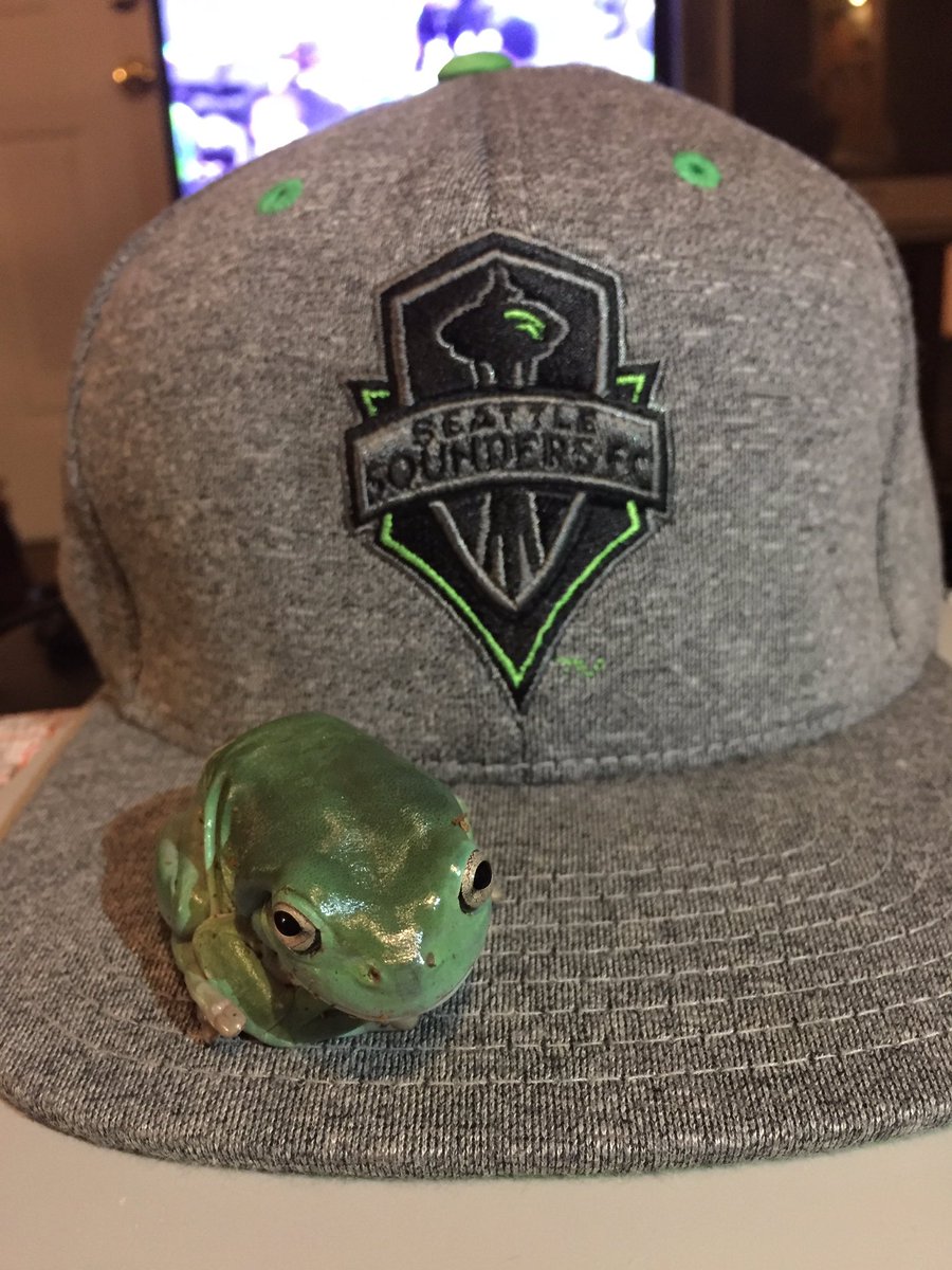 binguses's tweet image. 🐸💚💙🎉