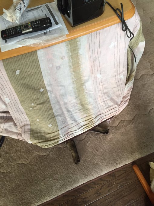 なにしとんねん 