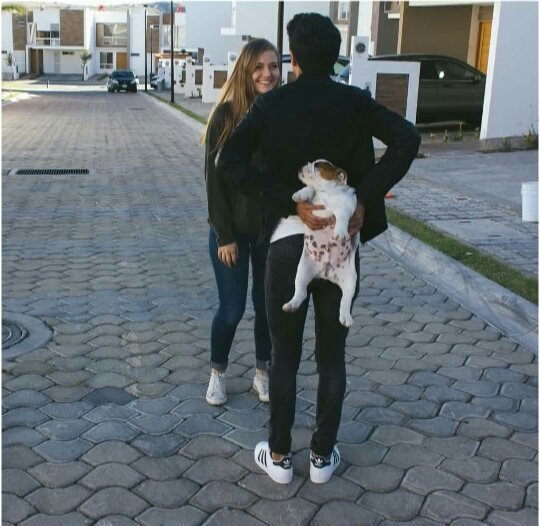 capturebizarre's tweet image. 