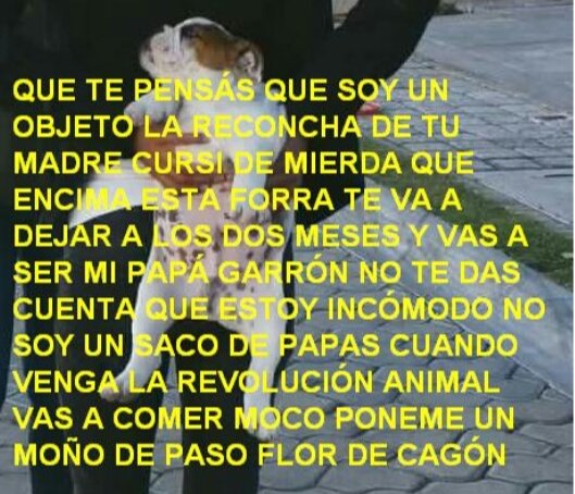 capturebizarre's tweet image. 