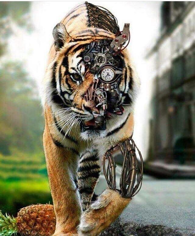 mistkykg's tweet image. #graphicsProject what an awesome art!