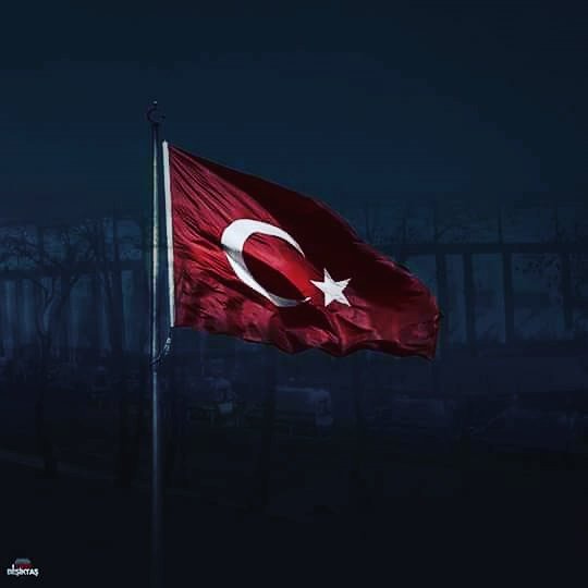 Başımız Sağolsun. Sizede Lanet olsun o.çocukları