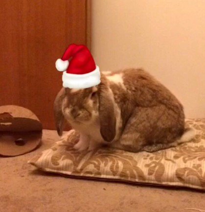 Lagolearn's tweet image. Day 11. Another cute, photoshopped Santa! Thanks K Dunham #adventcalendar #rabbit #lagolearn