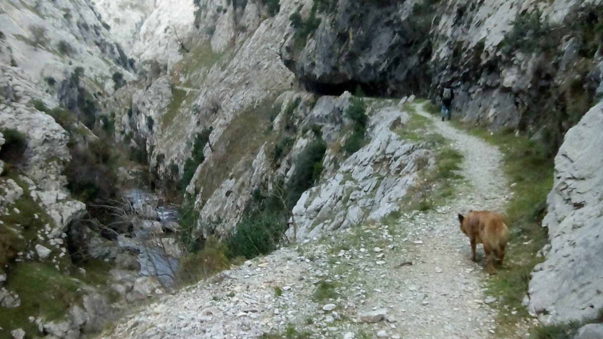 El borrador del PRUG de Picos de Europa deberá estar redactado antes de fin de año.. 👏👏👏
 diariodeleon.es/noticias/provi…