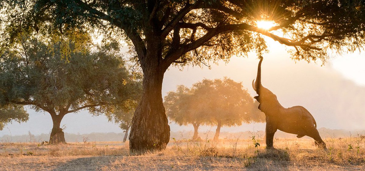 GetawayMagazine's tweet photo. 9 wild experiences in Southern Africa you have to try and our #1 is Skinny-dip in South Africa’s finest rock pool https://t.co/YdKugE1EPo https://t.co/4F1peDmVju