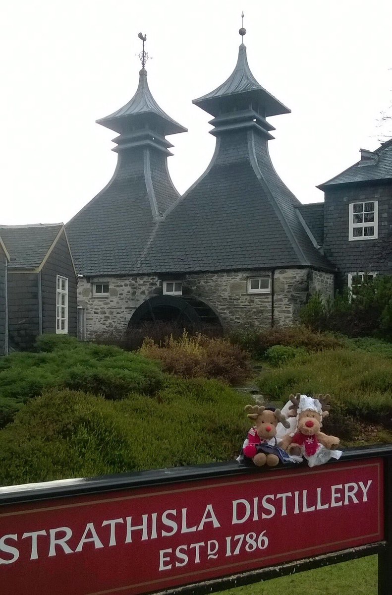 TescoKeithmoss's tweet photo. #ruaridhthereindeer visited #strathisladistillery #inKeith #group1 #BringItOn #Funatwork https://t.co/WC3hqlWQ9i