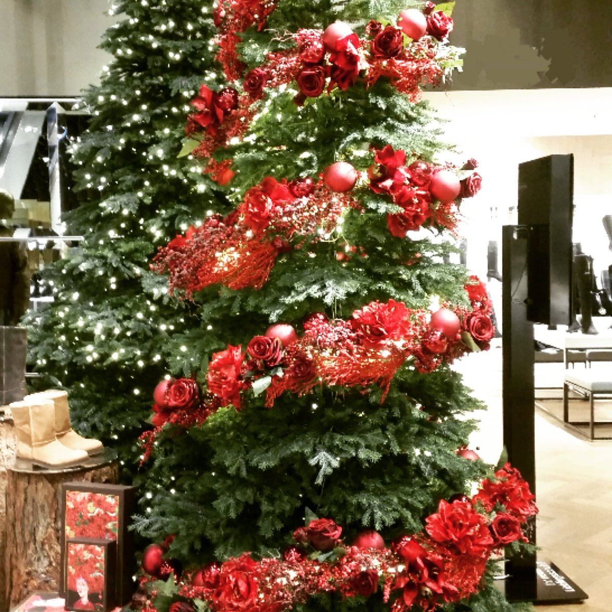 NiaMayflow's tweet photo. Zum 3. Advent gibt es ein #WeihnachtsSpecial bei #AufDerInsel22 #online auf #youtube #Vlogger #niamayflow 
https://t.co/X2hKayOcg1 https://t.co/Pqzr3ryJUi