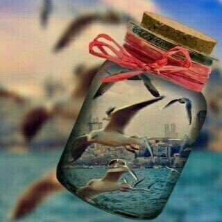 f_x8m's tweet photo. ↓˓❁⸀ء
؛
؛

ﻛُﻞ ﺷَﻲْﺀ ﻳَﺘَﺠَﻤَّﺪ ﻓِﻲْ ﺍﻟﺸِّﺘَﺎﺀ ..
 إلا ﺍﻟﻌُﻄْﺮ ﻭَ ﺍﻟﺤَﻨِﻴْﻦ ﻭَ ﺍﻟﺬِّﻛْﺮَﻳﺎﺕﻭَ ﺑَﻌْﺾ ﺍﻷﻣْﻨِﻴَﺎﺕ ..❣️ https://t.co/Srb3QlWhgR