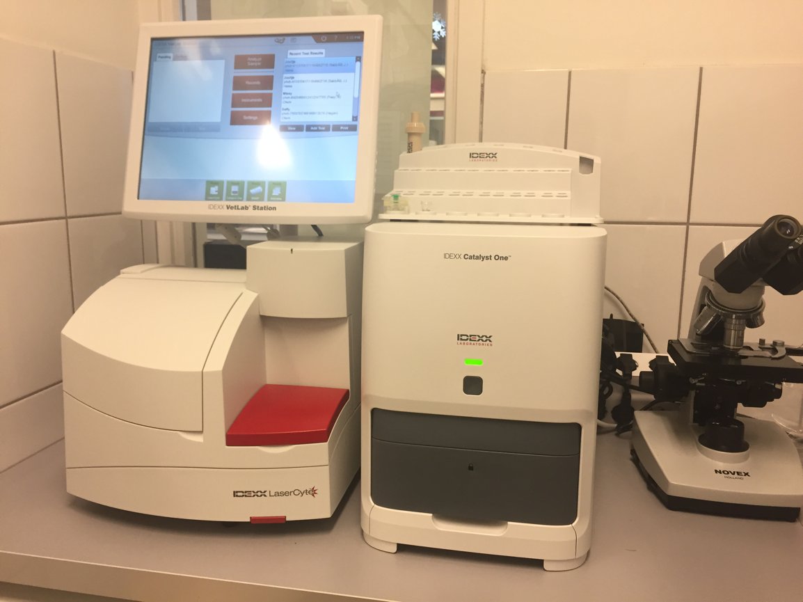 IDEXXnl's tweet photo. Pets Health Vijfhuizen kan nu #hematologie bepalen op de praktijk met hun nieuwe #LaserCyte, inclusief het absolute aantal #reticulocyten https://t.co/L0ZNku57zy