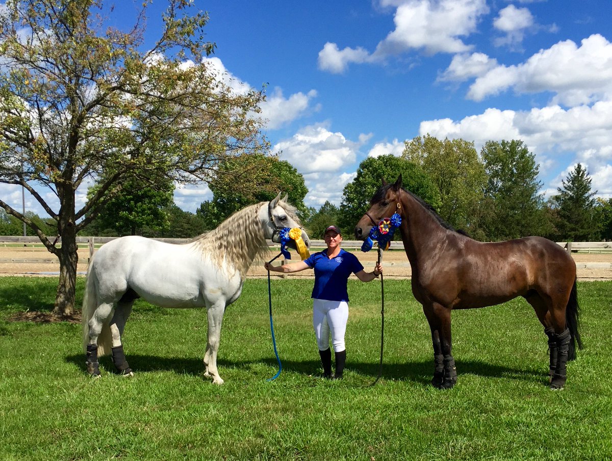 Freedofmovement's tweet photo. I love my training horses https://t.co/0bPJPEsQaq
