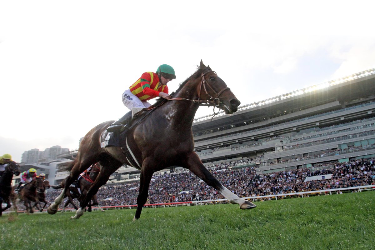 hkjc horse race betting limited brands hkjc horse race betting limited brands