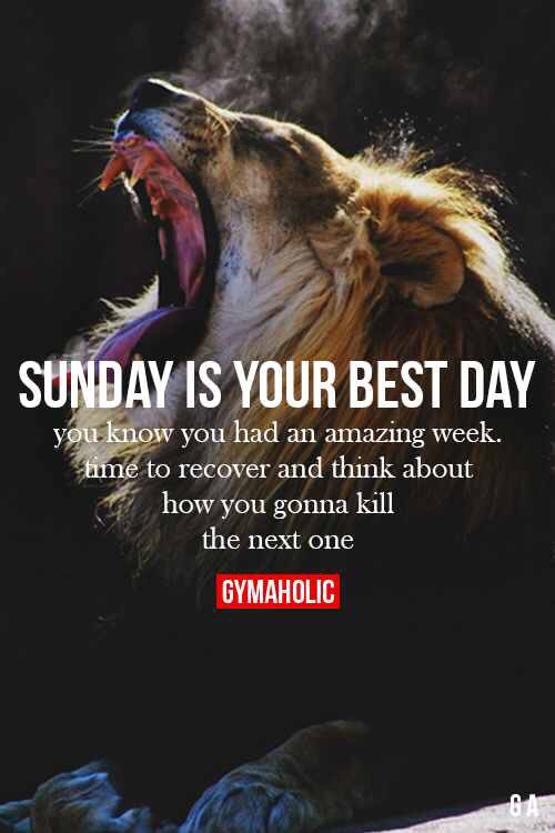 Diamondbodyproj's tweet photo. 😍💯😂 #loveit #sundaymotivation https://t.co/3jnsBJ50n1