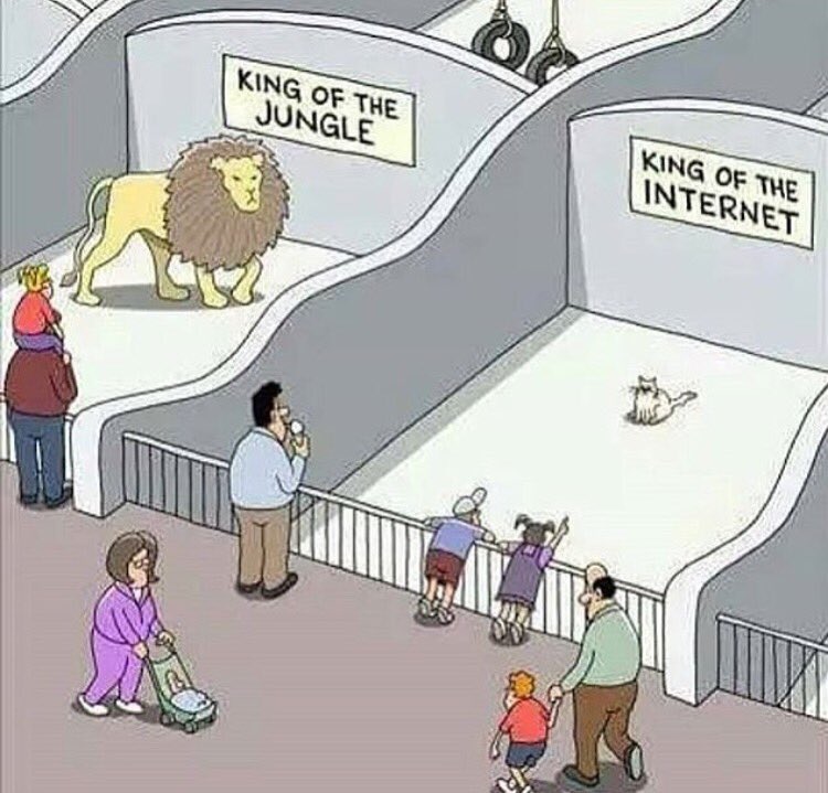 Our fucked up world 👇