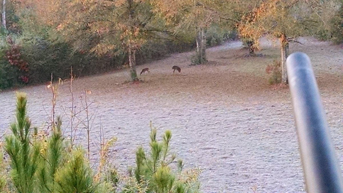 joeystatum's tweet image. So blessed!