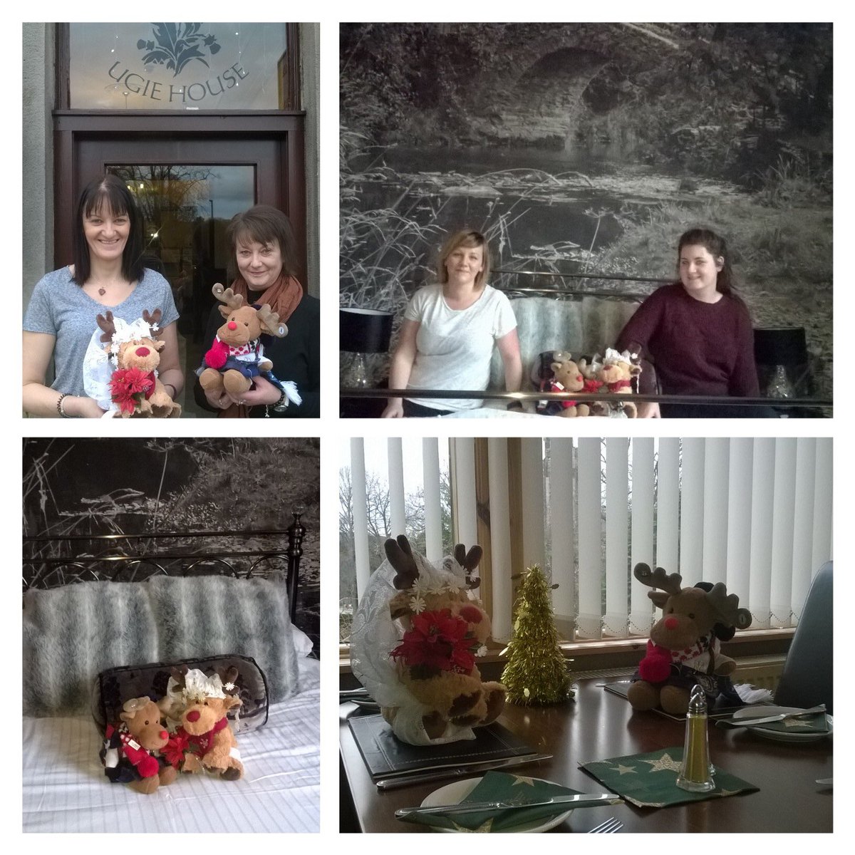 TescoKeithmoss's tweet photo. #ruaridhthereindeer wedding reception & honeymoon #inkeith #group1 #BringItOn #funatwork https://t.co/VOhspTZELo