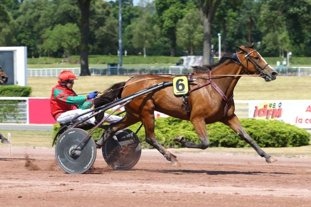 EquidiaNews's tweet photo. #GPBourbonnais
12- #PrincessGrif
Elle a déjà remporté son ticket pr l'Amérique, 3e du #GPBretagne. Ac un bon parcours, elle peut finir vite https://t.co/SVQfEbaY2f