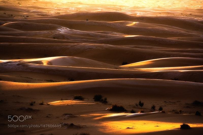 fitnesscurious_'s tweet photo. "Light sand " via #500px. Shop #fitness at https://t.co/kYnfsBdilS #fitfam #gymtime #treadmill #gainz #workout #getStron… https://t.co/47Jd2gvBfg