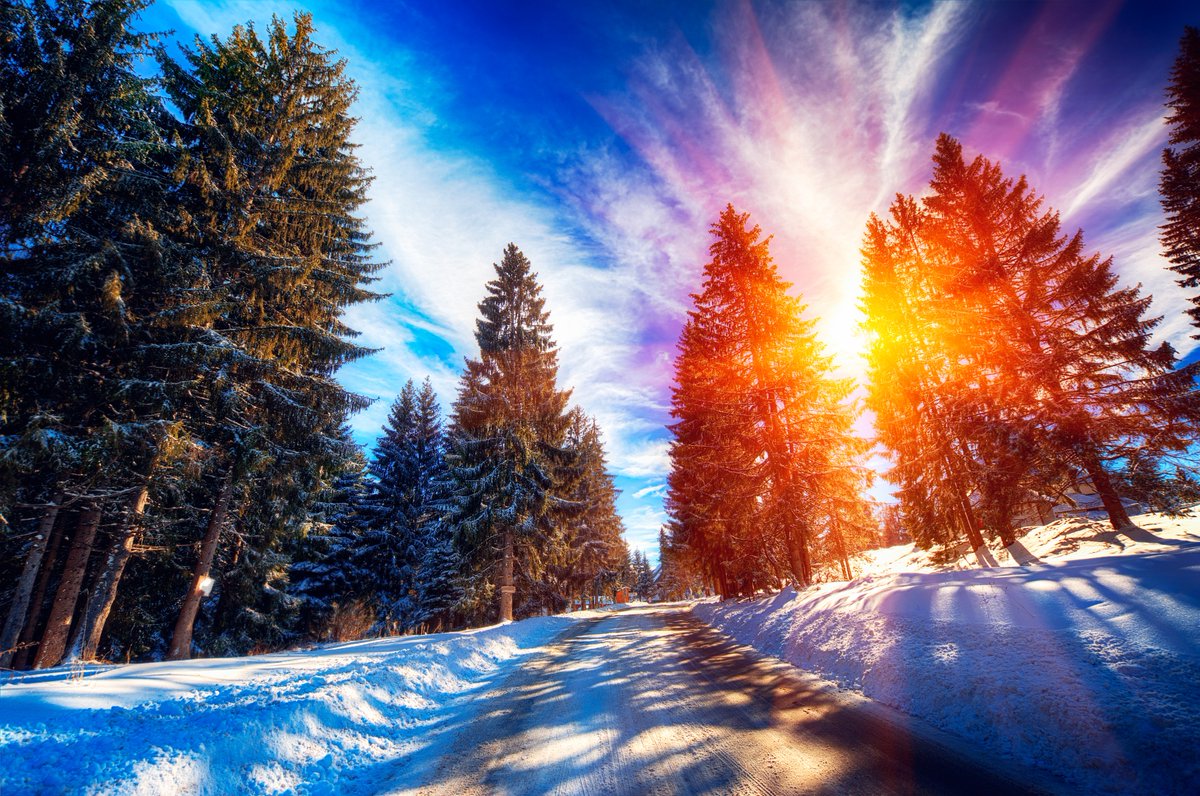 zlatarskibiseri's tweet photo. 11 December “International Mountain Day”
Medjunarodni dan planina- 11.decembar @VisitZlatar https://t.co/WhLVNyK2KM