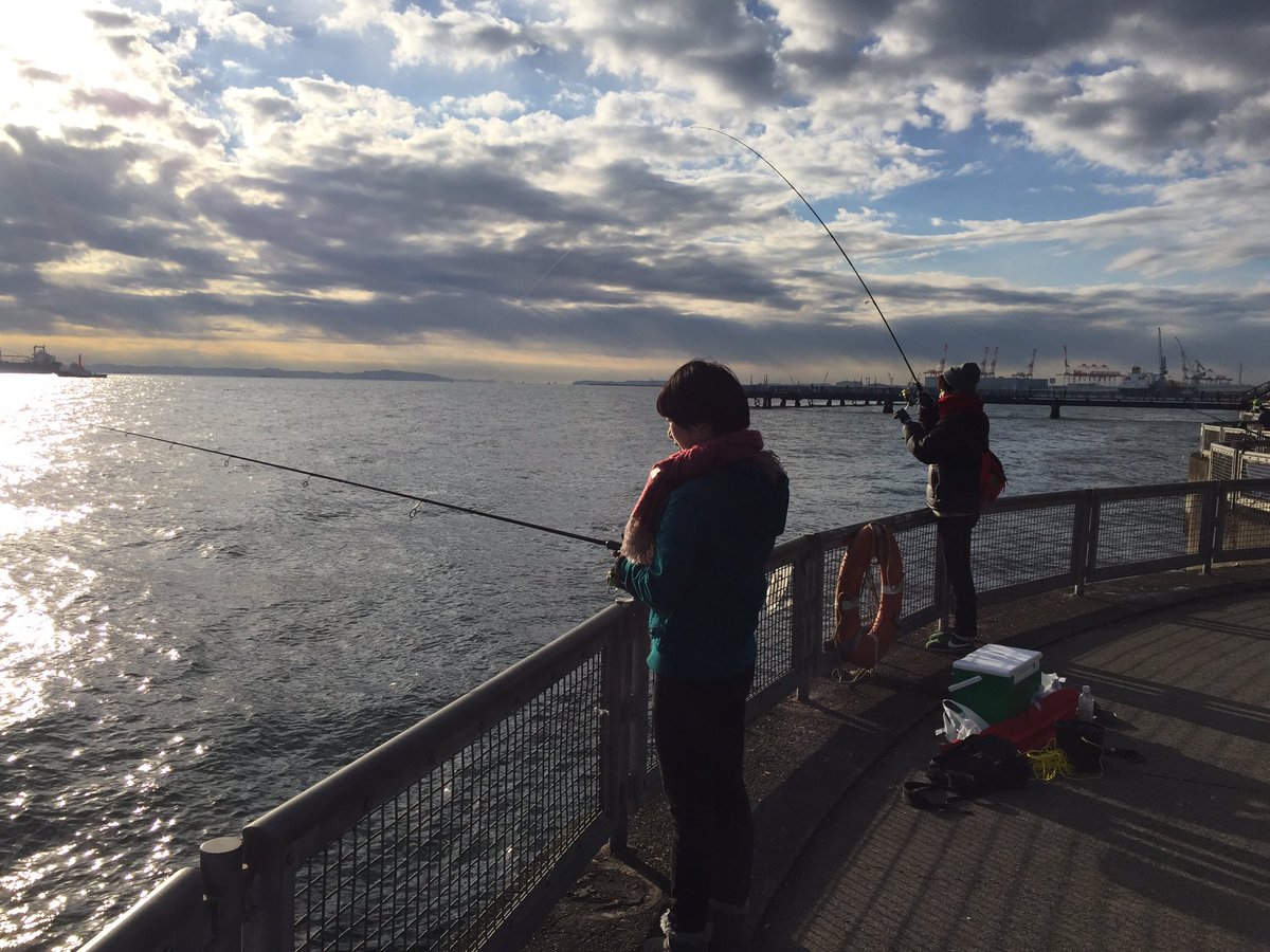 横浜市立大学 釣り部 Hamさんのツイート 本牧海釣り施設と八景島対岸に行ってきました 本牧では62 のシーバス 八景島では40 くらいのアイナメ釣れました 寒い中早朝からお疲れ様でした