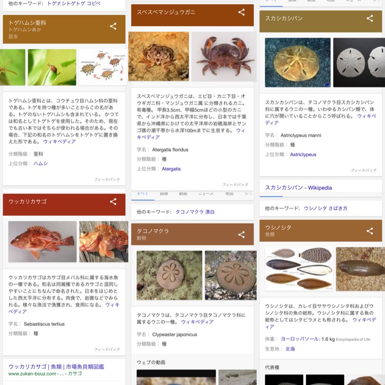 虫注意 放送禁止レベルの罵倒がそのまま名前になっている虫がいるらしい これ実在するのか Togetter 虫注意 放送禁止レベルの罵倒がそのまま名前になっている虫がいるらしい これ実在するのか Togetter
