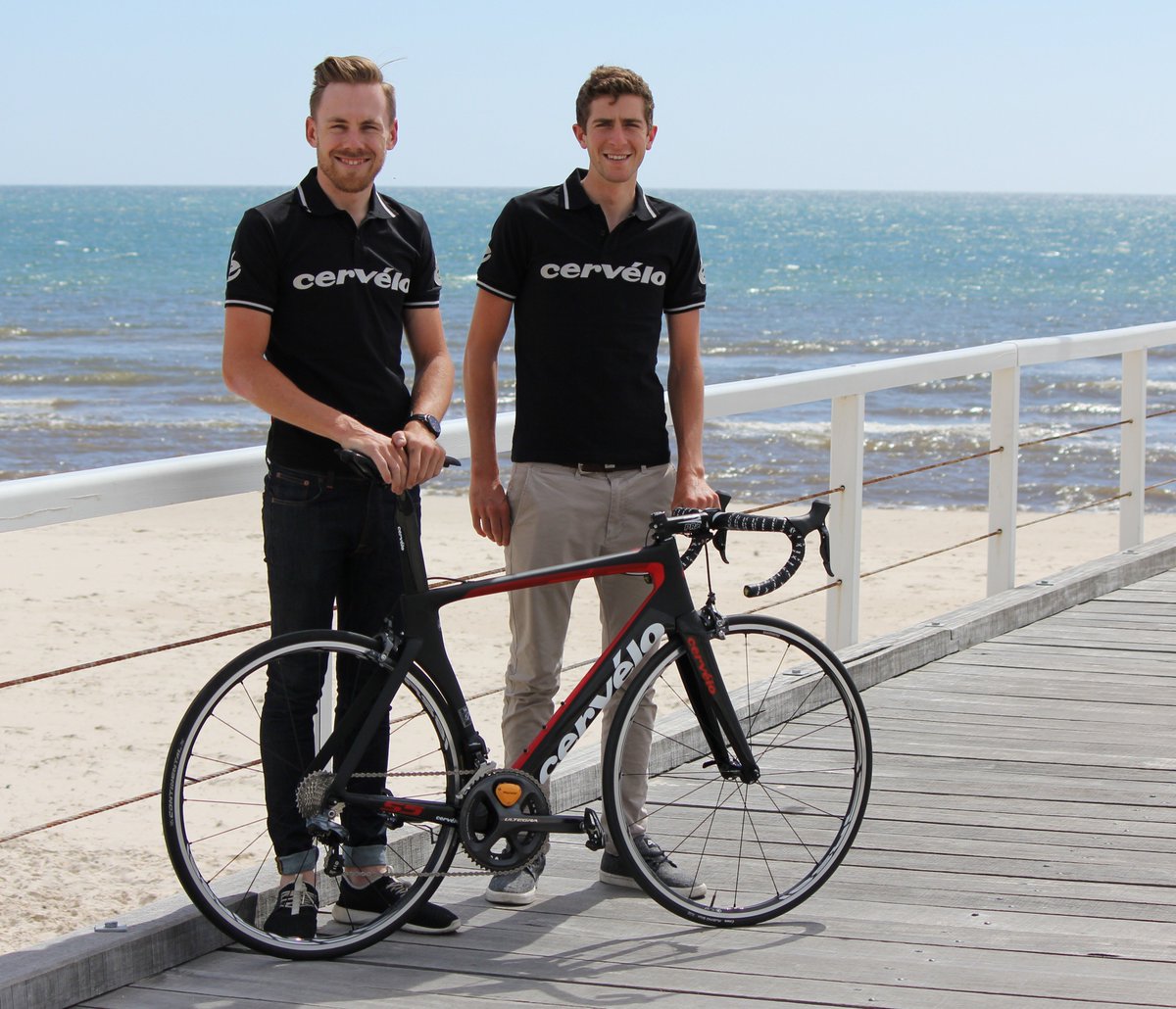 avantiisowheysports.com.au/isowhey-sports…