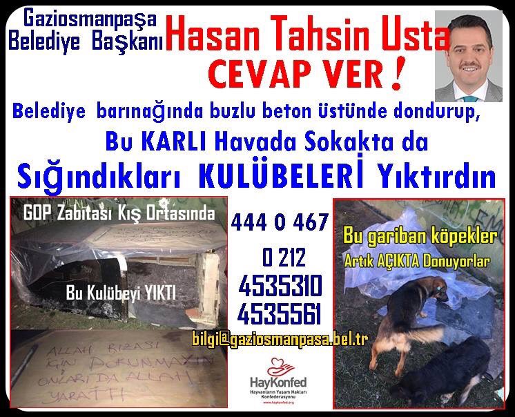 <a href="/Ak_Parti_GOP/">AK Parti Gaziosmanpaşa</a> facebook.com/esrlcl/posts/1… <a href="/htahsinusta/">Hasan Tahsin USTA</a> <a href="/akpartiistanbul/">AK Parti İstanbul</a> <a href="/SunaYildizoglu/">Suna Yildizoglu</a> <a href="/pekkan1/">Ajda Pekkan</a> <a href="/PatiDayanisma/">Pati Dayanışma</a> <a href="/SahipsizCanlar/">Sahipsiz Canlar</a> <a href="/pupsofistanbul/">Pups of Istanbul</a>