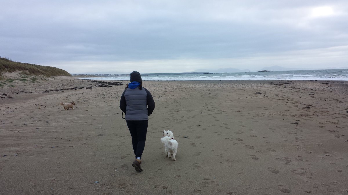 The Snug Anglesey tweet media