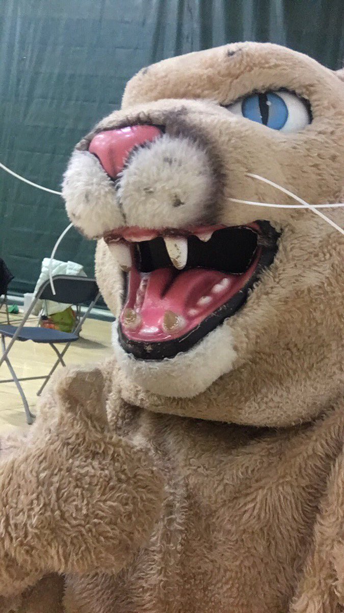 MMUCougarALC's tweet photo. Happy Birthday Rally Cat!! 🐾@UVMathletics  @MMUCougarNation #MMURepresent #CougarNation https://t.co/yYjRPrU1WP