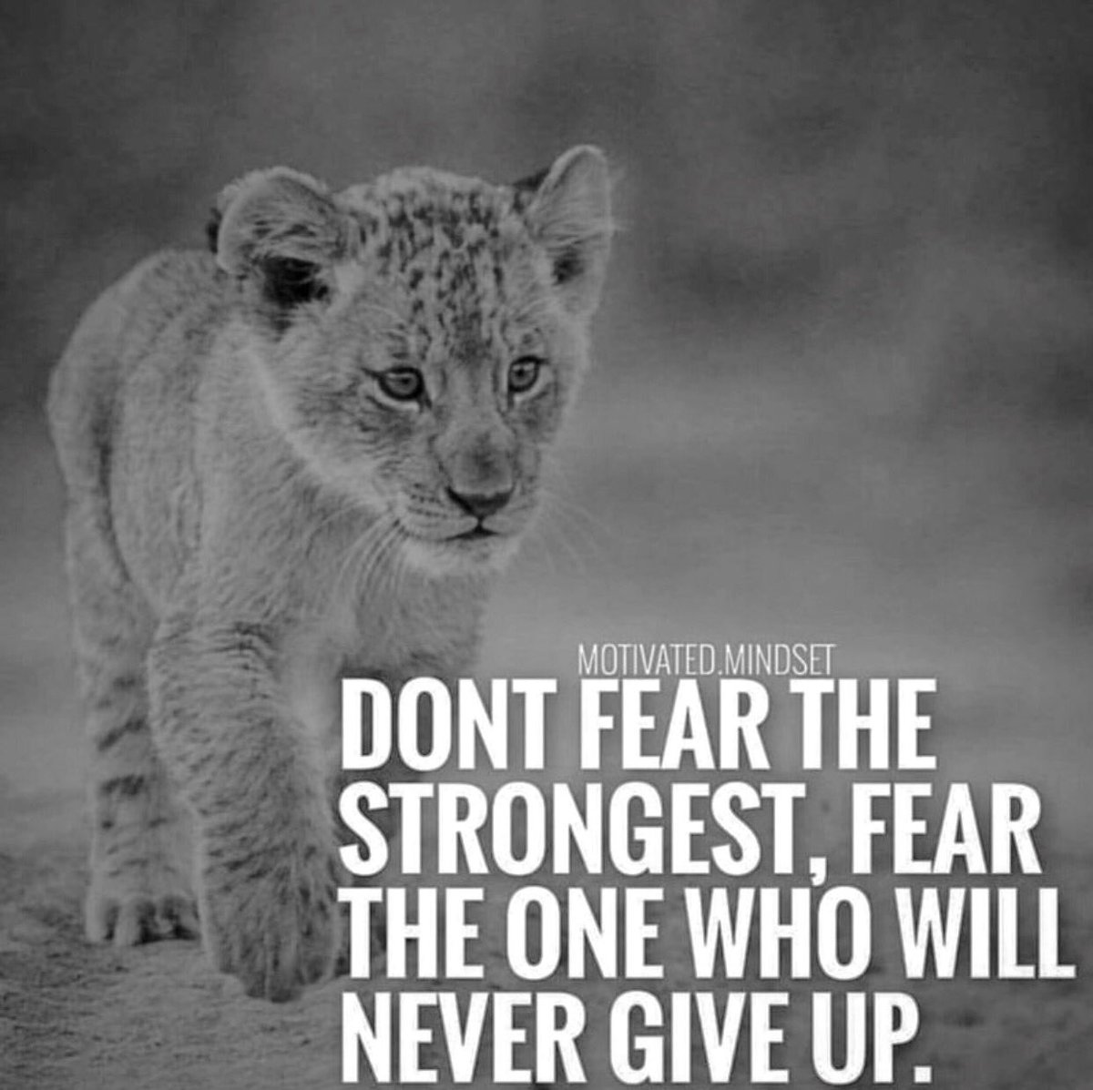 10MillionMiler's tweet image. Fear The One Who Will Never Give Up!

@10MillionMiler #quote #Leadership #Inspiration RT @JoycelynJames
