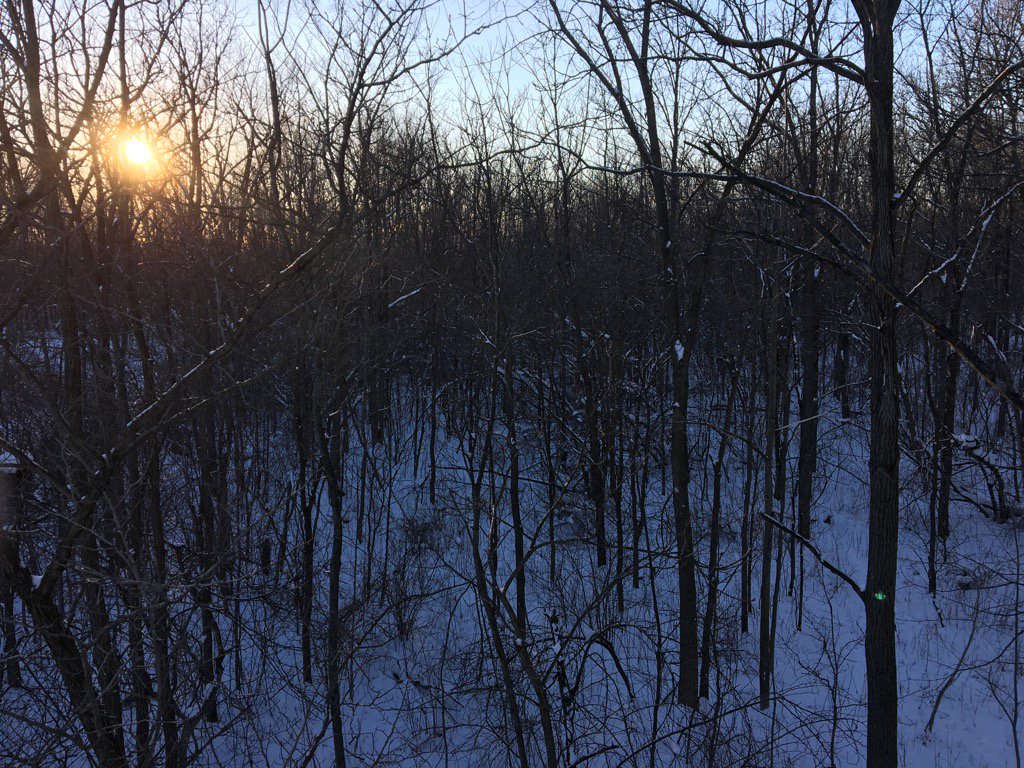 Another nice evening out,  two weeks left of the season here in Ontario <a href="/flyingarrowusa/">Flying Arrow Archery</a> <a href="/pse/">Pi Sigma Epsilon</a> <a href="/WildTV/">Wild Television Network</a> <a href="/Sportchief1/">Sportchief</a>