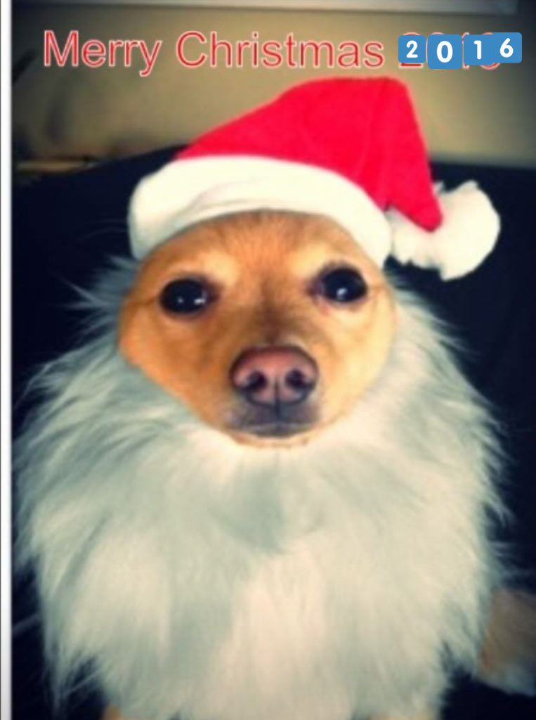 CookAnthea's tweet image. 