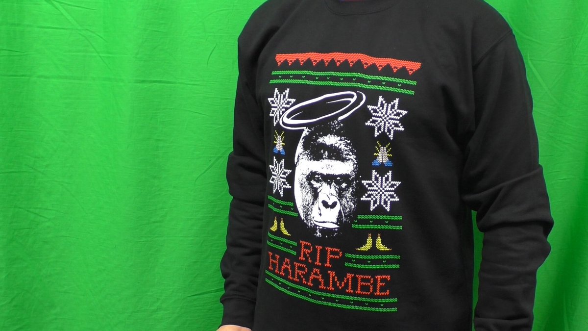 dundeestarstv's tweet image. Coach LeFebvre @OfficialFavor11 Christmas Jumper #greenscreenproblems #ripharambe youtu.be/L-zCRSIdQ4Y