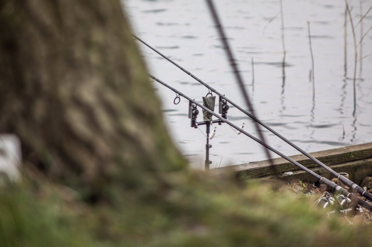 pisca_adventure's tweet photo. No carp today, but memories were made.#winterfishing #carping @carpology @ThinkingAnglers https://t.co/FqJ2A4HCoG