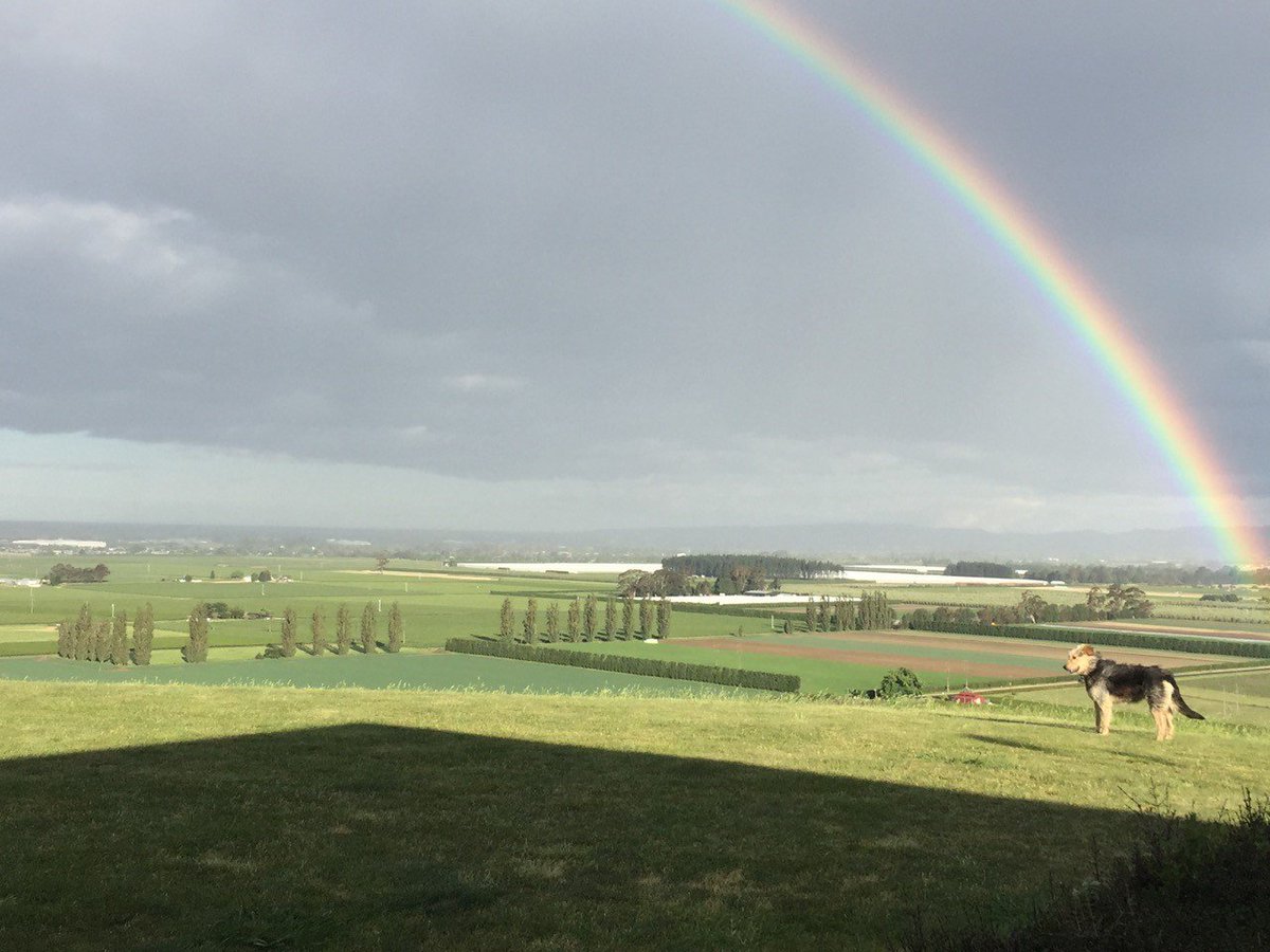HortNZ's tweet photo. It's been a century of #growth for #NZ #horticulture, and there's more to come. Read Mike's Blog https://t.co/pQknfrjXyN @MikeChapmanHort https://t.co/fmlNzFBgxd