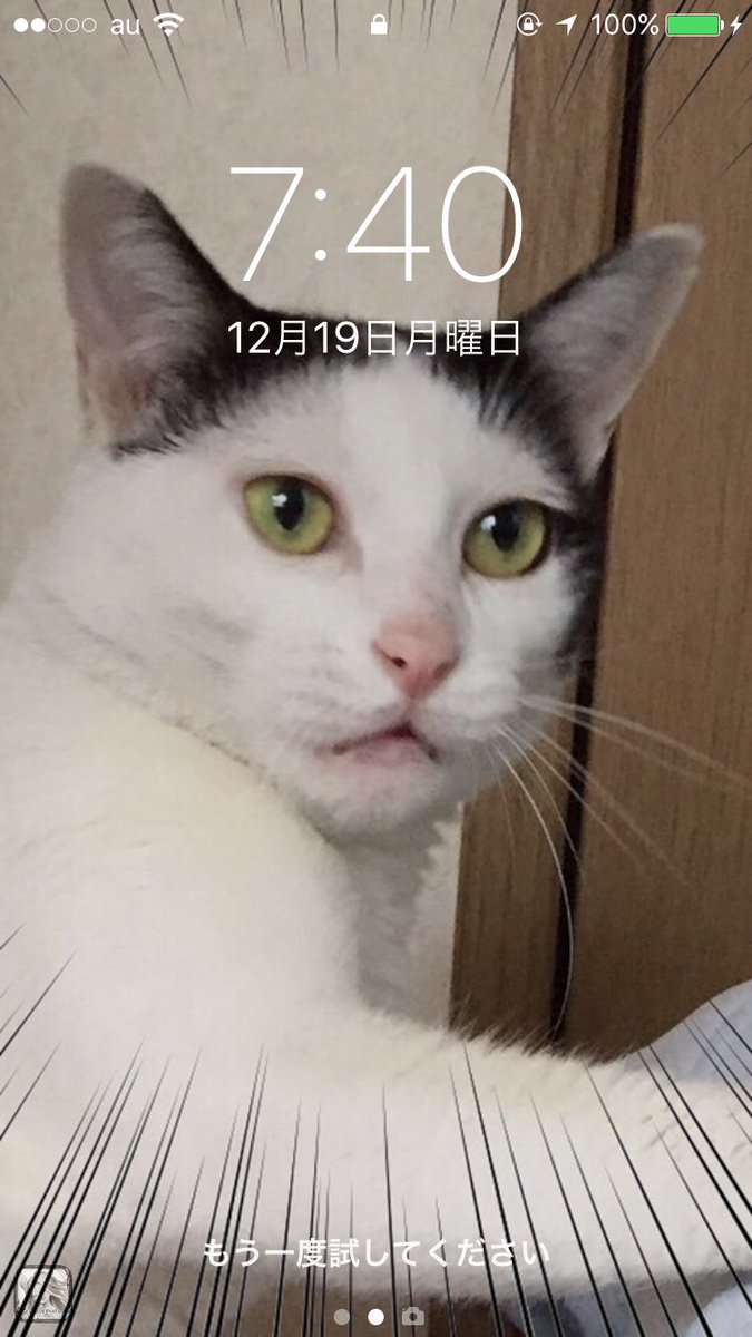 みんなの壁紙気になるからホーム画面スクショして