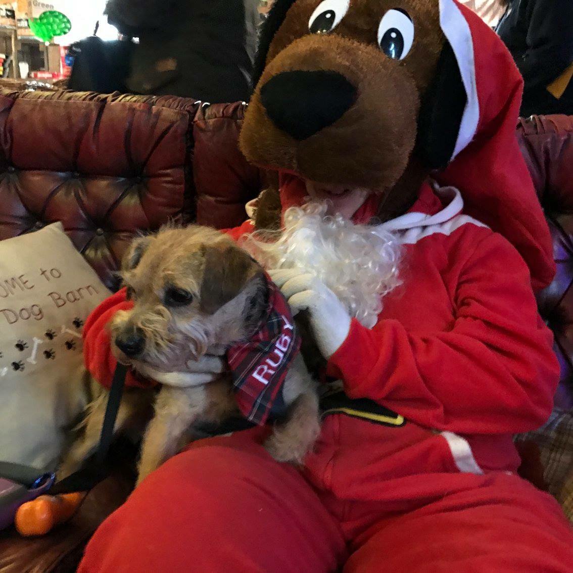 Thedogbarn Hashtag On Twitter